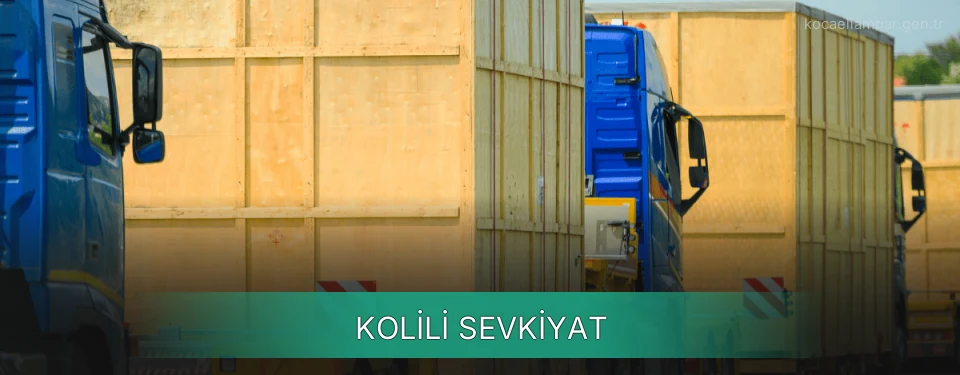 Kocaeli Kolili Sevkiyat Ambar Firmaları
